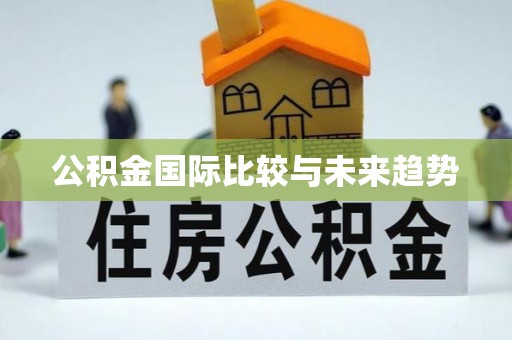 万载公积金国际比较与未来趋势