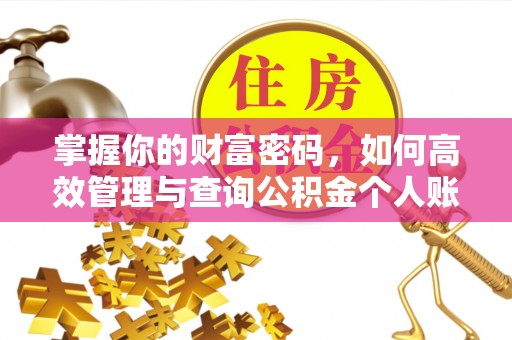 万载掌握你的财富密码，如何高效管理与查询公积金个人账户信息